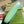 GG JACKIE SMALL 28 SHOULDER BAG IN LIGHT GREEN CALFSKIN