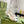 GG HIGH - HEEL SANDAL WHITE FABRIC ATTACH BOW