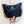 CC 23A Advanced Handicraft24cm Black Sheepskin Light GHW