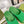 GC 25 Interlocking G 50mm Slide Sandal Green Cowhide 292382
