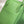 HM LINDY 26 BAG KELLY GREEN TAURILLON CLEMENCE LEATHER