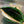 SARDINE 29 BAG IN GREEN LAMBSKIN
