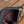 cc zipped wallet 14cm black lambskin silver hardware
