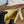 cc zipped wallet 15 yellow caviar gold hardware