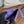 cc zipped wallet 15 purple caviar gold hardware