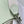 Evelyne 29cm Glacial Green Togo Silver Hardware
