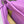 Loew Paseo Shoulder Bag 25cm Light Magenta Cowhide