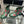 CC Rainboots Green with Embossed Logo Rubber 204072