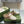HORSEBIT MULE IN WHITE EMBOSSED CALFSKIN AND LAMB WOOL LINING
