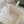 cd medium toujours 28 white calfskin