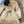 Burberry 25 Trench Coat Two-piece Set Beige Black Cotton Down Nylon