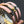 H Pig Nose Light Pink Bracelet