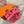 chypre sandal pink lamb wool