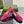BLONDIE LOGO-PLAQUE LOAFERS IN FUSCIA PINK SUEDE