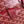 AMBASSADE DOCUMENT CASE 35 IN CLASSIC RED GOYARDINE CANVAS