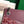 ROUETTE STRUCTURÉ MINI BAG 21 IN WINE RED GOYARDINE CANVAS AND CALFSKIN