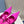 PRA HIGH-HEELED MULES BRIGHT PINK SATIN