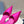 PRA POINTED-TOE MULES BRIGHT PINK SATIN