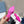 PRA POINTED-TOE MULES BRIGHT PINK SATIN