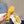 PRA SQUARE TOE MULES YELLOW SATIN