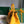 SAIGON SOUPLE BAG 34 IN YELLOW GOYARDINE CANVAS AND CALFSKIN