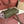 EXTRA POCKET L19 IN OLIVE GREEN CALFSKIN WITH SILVER HARDWARE