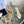 HIGH HEEL 65MM IN BEIGE CREAM CALFSKIN