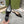GG Slingback Flat Sandals black