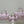 CD 2026 Groove Bag Pink Calfskin Gold Hardware