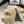 CC DAD SANDAL MULE IN ECRU BEIGE LAMB FUR