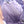 25C Hobo 22 Bag 19cm Violet Metalic Lambskin