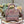 CD Old Foundation Tiger 24 Lady Dior Bag Canvas 336685