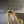 Alaia 25 Woven Ballet Flats Gold Metallic Leather 303675