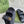 GC sandal with Double G Black Canvas Sheepskin 291017