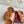 GC Slipper Brown Cowhide 291037