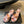 CC 25SS Platform Sandals 5.5cm Pink Lambskin And Velvet 319626