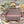 CD New Foundation Tiger 24 Lady Dior Bag Canvas 336733