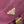 PRA backpack 28 burgundy nylon fabric gold hardware