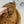 LP 25 Jacket Camel Suede Fabric 314020