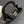 Chanel 2026 Kelly Bag 19cm Quilted Black Patent Leather