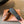 Miu 26s Lace-up Leather Shoes Camel Sheepskin 726837