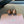Miu 26s Lace-up Leather Shoes Camel Sheepskin 726837