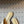 CD 26s Bow Slide Cream Satin 819999