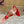 Alaïa Boudoir 90 Velvet Thong Sandals Red Velvet