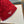 Prad Knitted Beanie 477680