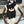 CC 2026 CC Logo Scarf 190cm Wool 197275