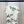 CD Fitted T-Shirt White Cotton Jersey with Green Toile de Jouy Clover Motif