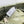BV Two-In-One Cassette Bag 26cm Light Green Leather