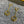 F DROP GOLD EARRINGS
