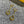 F DROP GOLD EARRINGS
